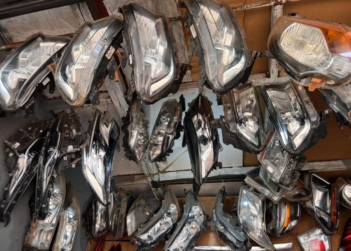 WhatsApp Image 2025-09-25 at 08.01.14 (1)